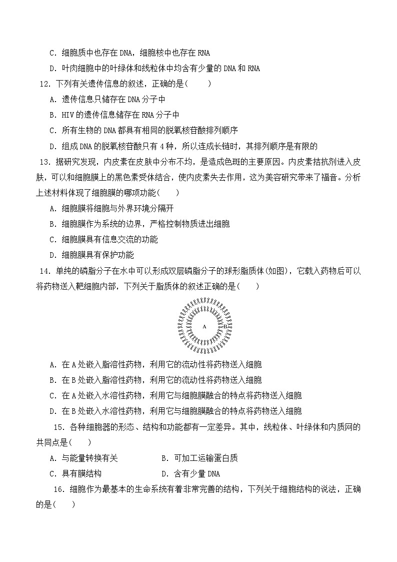高一生物上学期课后培优分级练（2019人教版必修1）期中预测卷（原卷版+解析）03
