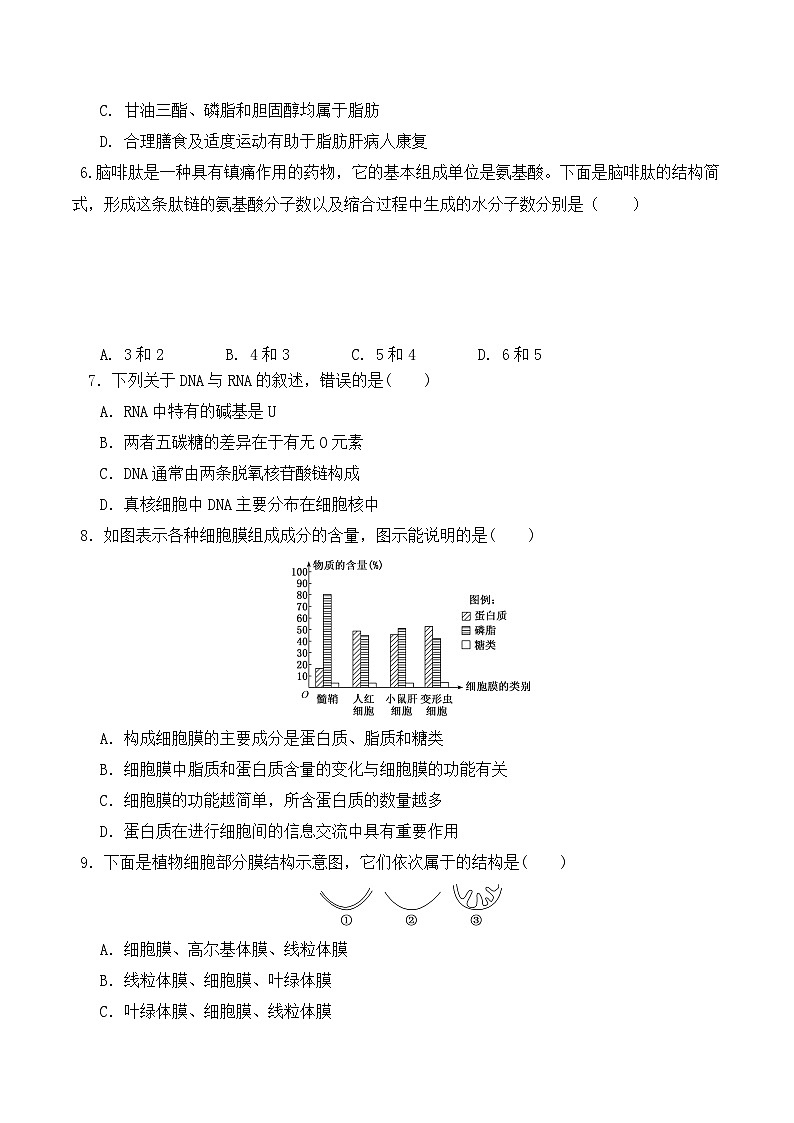 高一生物上学期课后培优分级练（2019人教版必修1）期末预测卷（一）（原卷版+解析）02