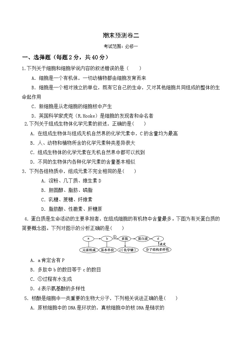 高一生物上学期课后培优分级练（2019人教版必修1）期末预测卷（二）（原卷版+解析）第1页