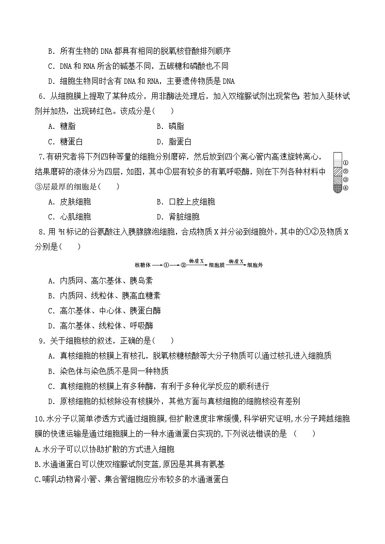 高一生物上学期课后培优分级练（2019人教版必修1）期末预测卷（二）（原卷版+解析）第2页
