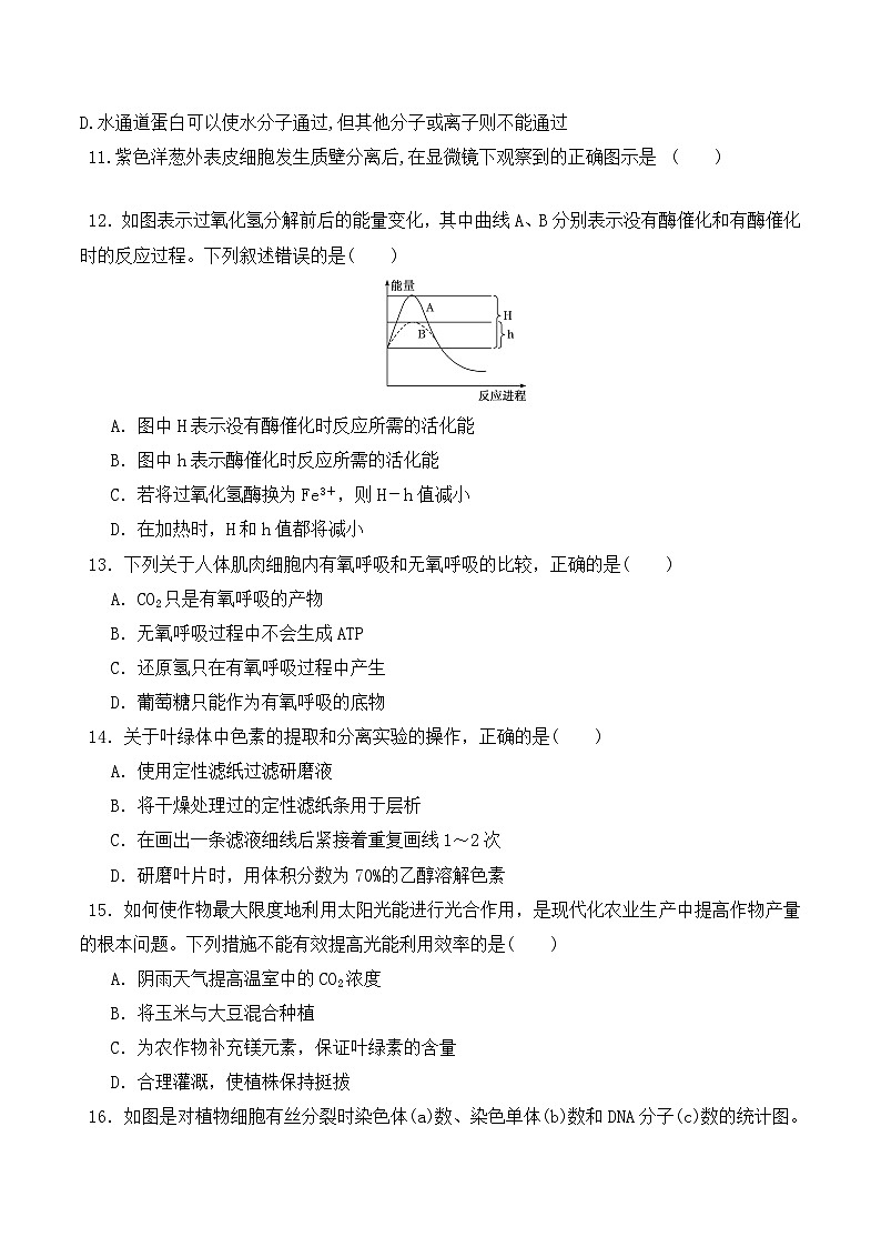 高一生物上学期课后培优分级练（2019人教版必修1）期末预测卷（二）（原卷版+解析）第3页