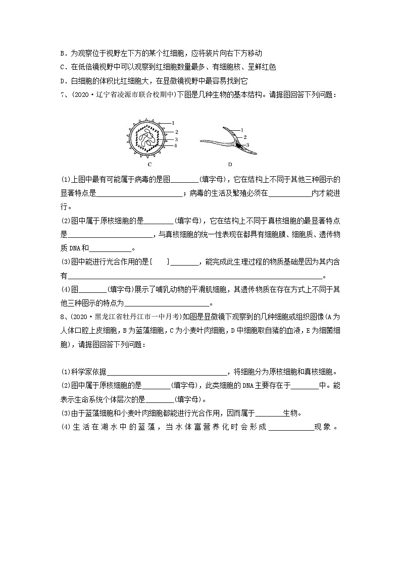高考生物一轮复习串讲精练（新高考专用）专题01 走近细胞（精练）（原卷版+解析）第2页