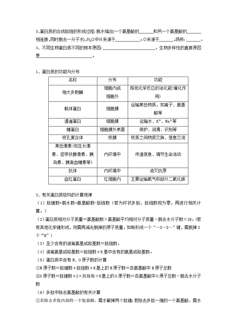 高考生物一轮复习串讲精练（新高考专用）专题03 蛋白质和核酸（串讲）（原卷版+解析）第2页