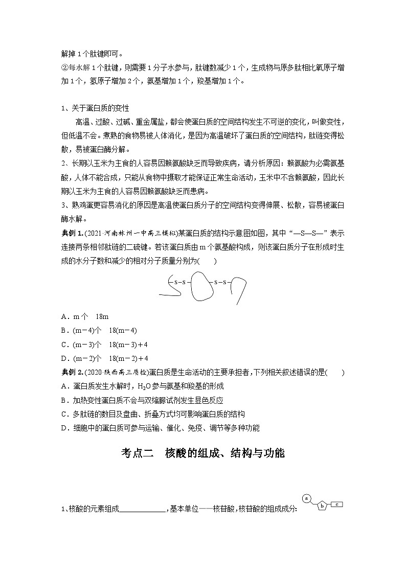 高考生物一轮复习串讲精练（新高考专用）专题03 蛋白质和核酸（串讲）（原卷版+解析）第3页