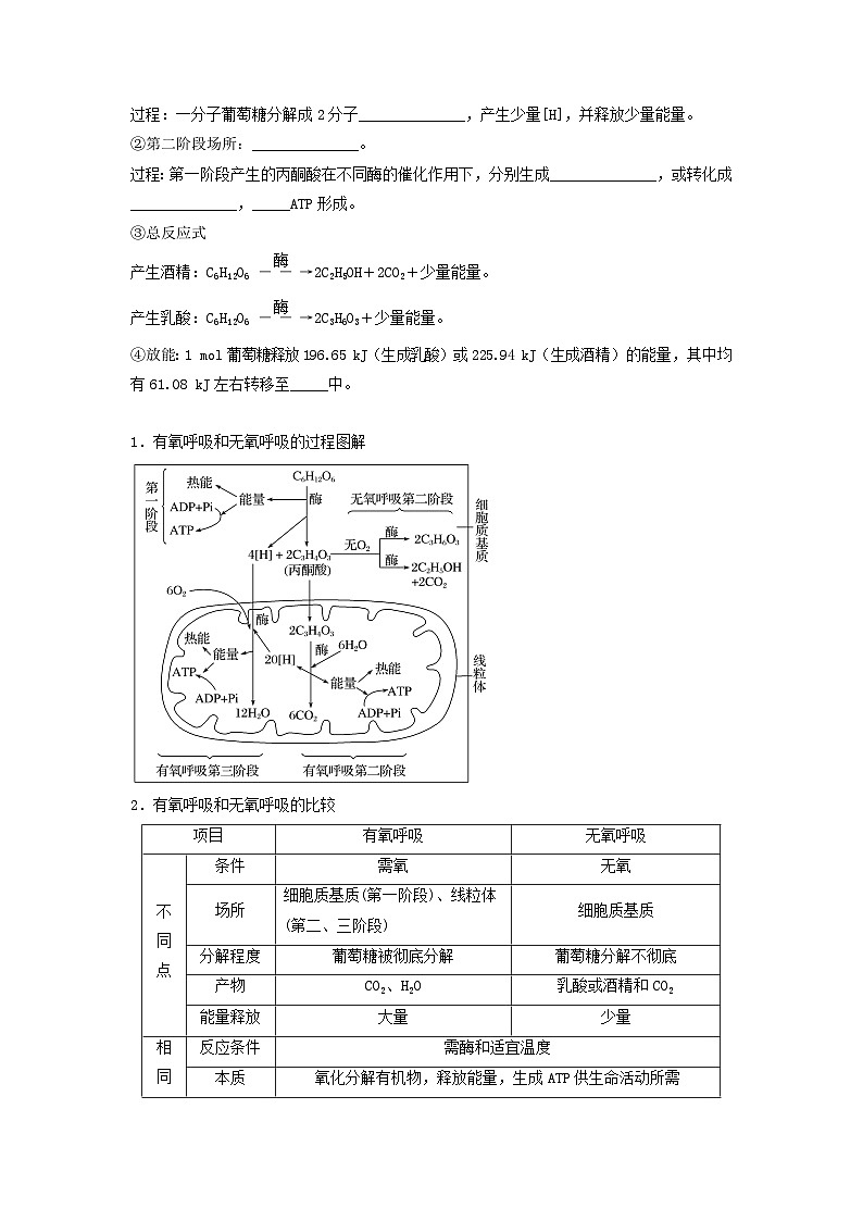 高考生物一轮复习串讲精练（新高考专用）专题08 细胞呼吸（串讲）（原卷版+解析）第2页