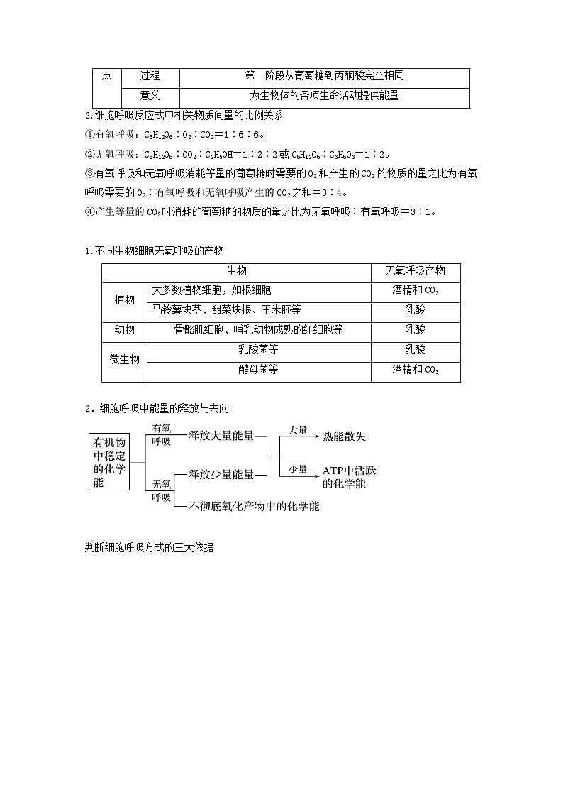 高考生物一轮复习串讲精练（新高考专用）专题08 细胞呼吸（串讲）（原卷版+解析）第3页