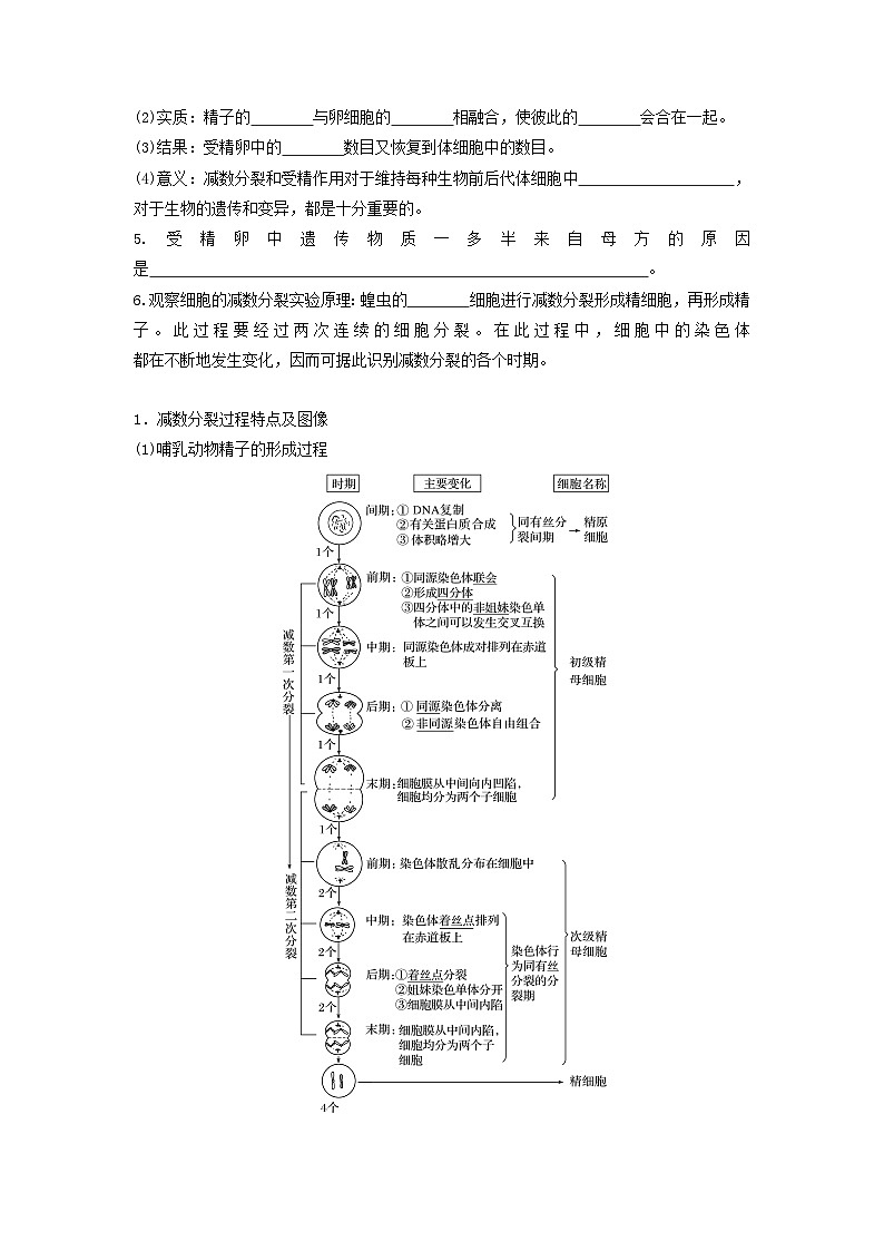 高考生物一轮复习串讲精练（新高考专用）专题12 减数分裂和受精作用（串讲）（原卷版+解析）02
