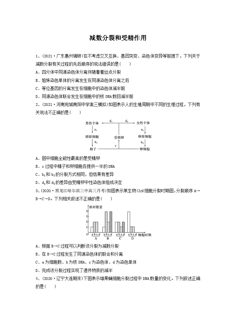 高考生物一轮复习串讲精练（新高考专用）专题12 减数分裂和受精作用（精练）（原卷版+解析）01