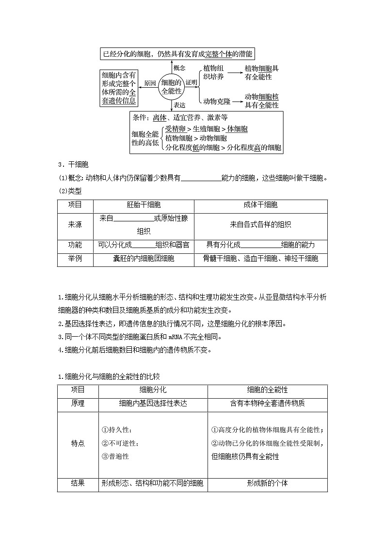 高考生物一轮复习串讲精练（新高考专用）专题13 细胞的分化、衰老和死亡（串讲）（原卷版+解析）02