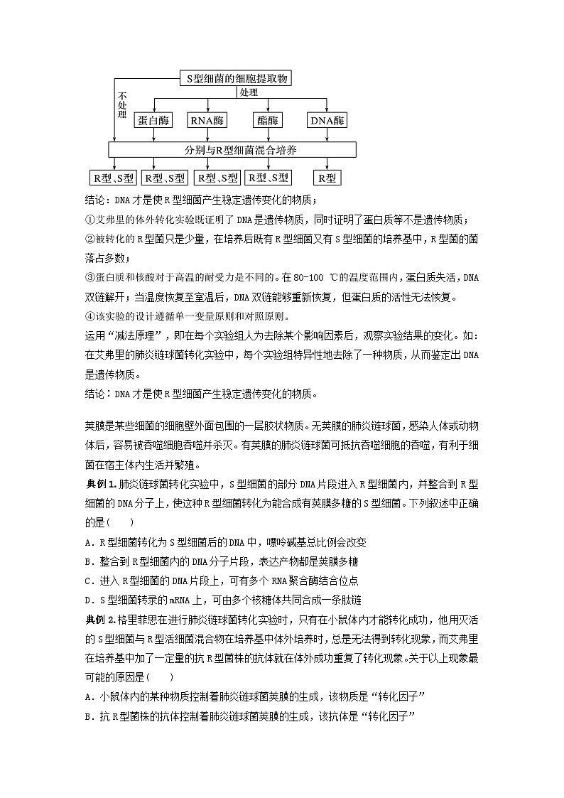 高考生物一轮复习串讲精练（新高考专用）专题17 DNA是主要的遗传物质（串讲）（原卷版+解析）02