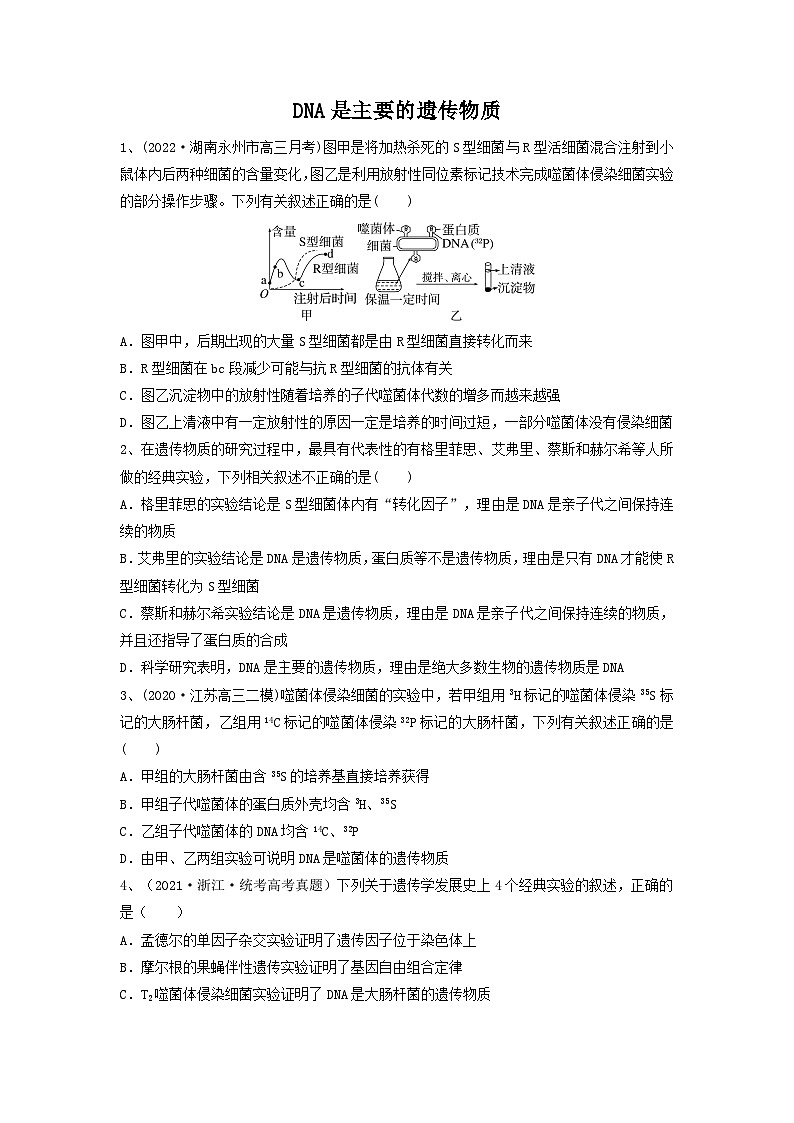 高考生物一轮复习串讲精练（新高考专用）专题17 DNA是主要的遗传物质（精练）（原卷版+解析）第1页