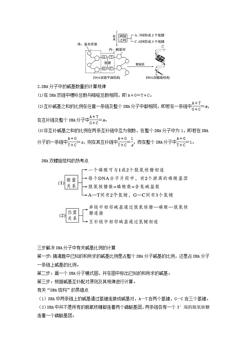 高考生物一轮复习串讲精练（新高考专用）专题18 DNA分子的结构、复制及基因的本质（串讲）（原卷版+解析）第2页