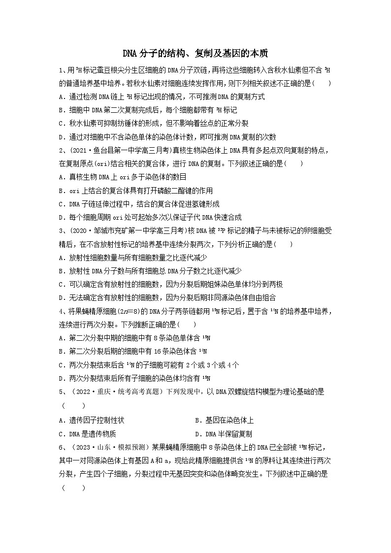 高考生物一轮复习串讲精练（新高考专用）专题18 DNA分子的结构、复制及基因的本质（精练）（原卷版+解析）01
