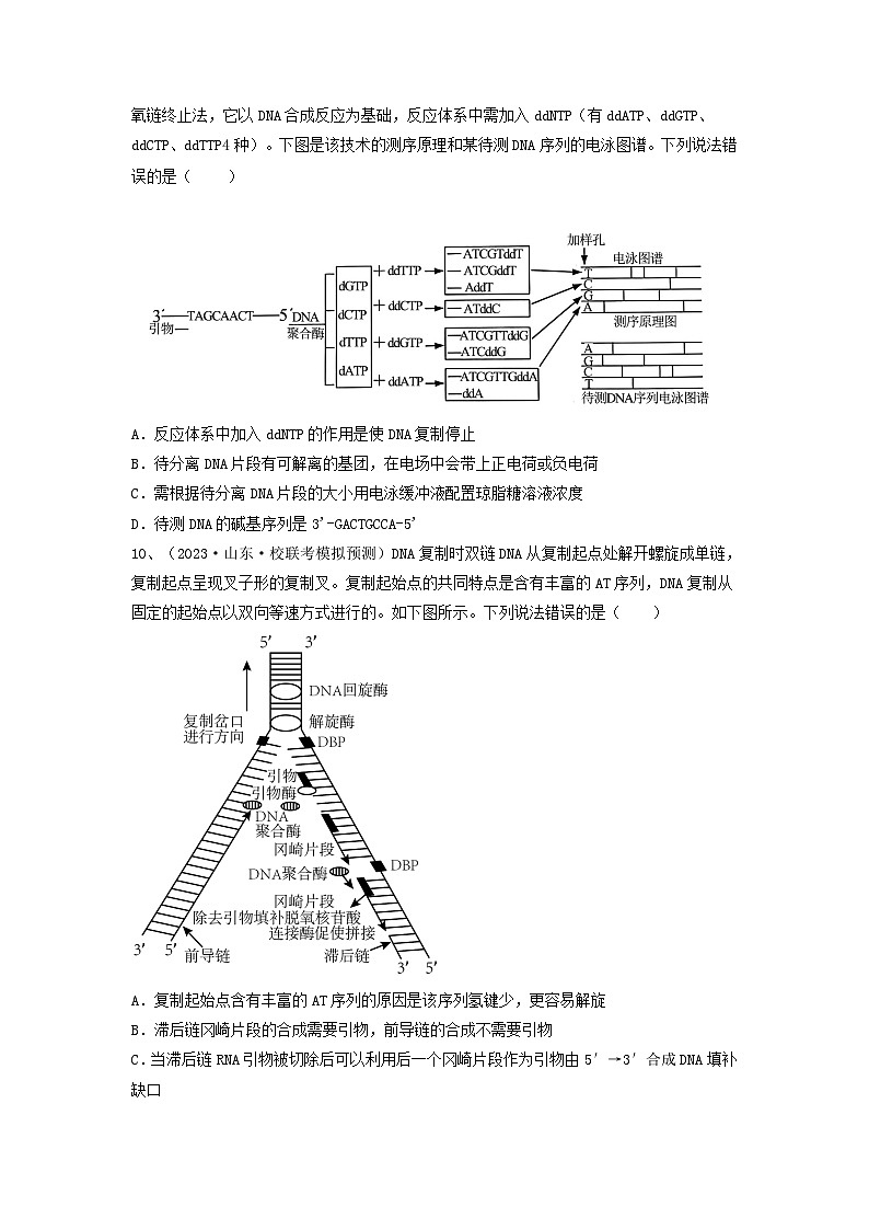 高考生物一轮复习串讲精练（新高考专用）专题18 DNA分子的结构、复制及基因的本质（精练）（原卷版+解析）03