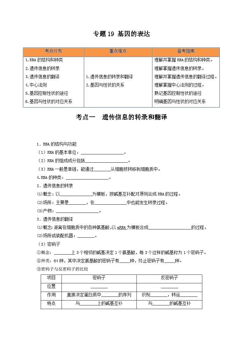 高考生物一轮复习串讲精练（新高考专用）专题19 基因的表达（串讲）（原卷版+解析）01
