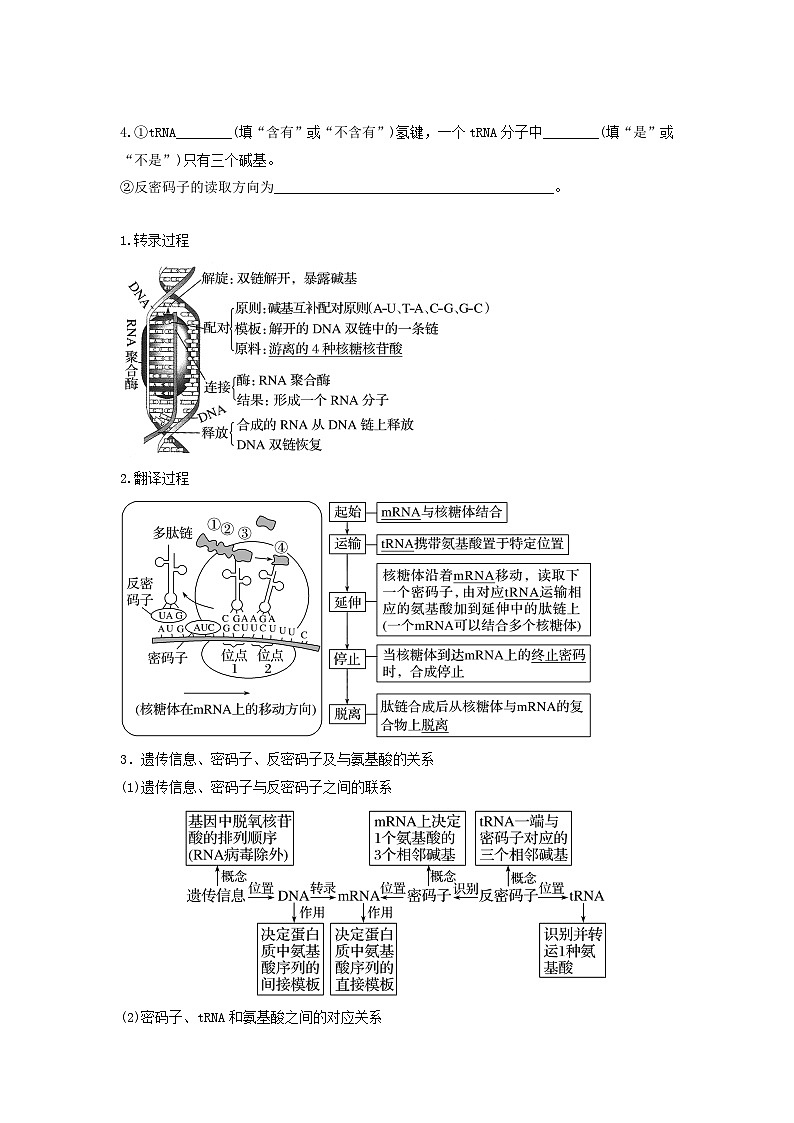 高考生物一轮复习串讲精练（新高考专用）专题19 基因的表达（串讲）（原卷版+解析）02