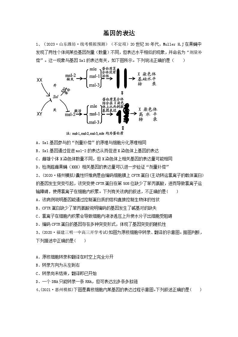 高考生物一轮复习串讲精练（新高考专用）专题19 基因的表达（精练）（原卷版+解析）第1页