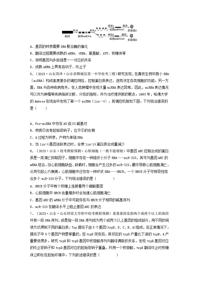 高考生物一轮复习串讲精练（新高考专用）专题19 基因的表达（精练）（原卷版+解析）第2页