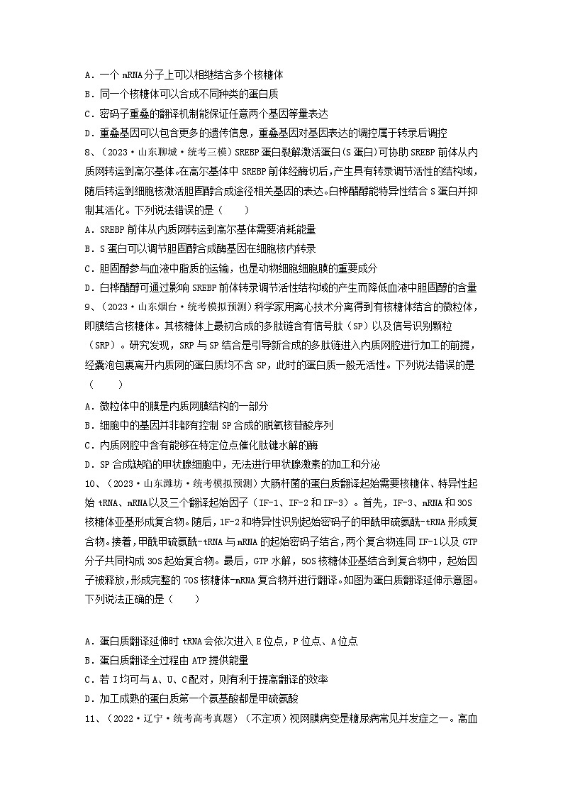 高考生物一轮复习串讲精练（新高考专用）专题19 基因的表达（精练）（原卷版+解析）第3页