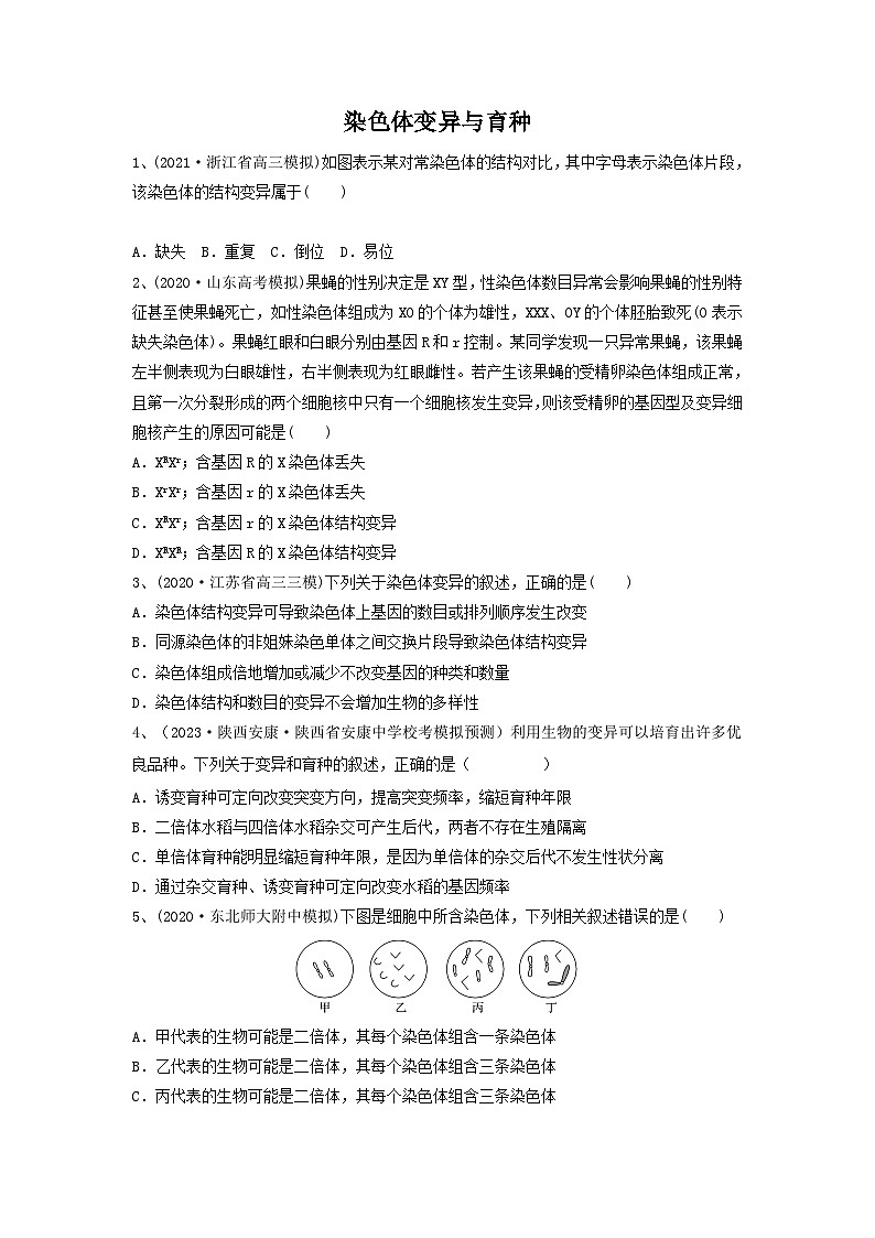 高考生物一轮复习串讲精练（新高考专用）专题21 染色体变异与育种（精练）（原卷版+解析）第1页