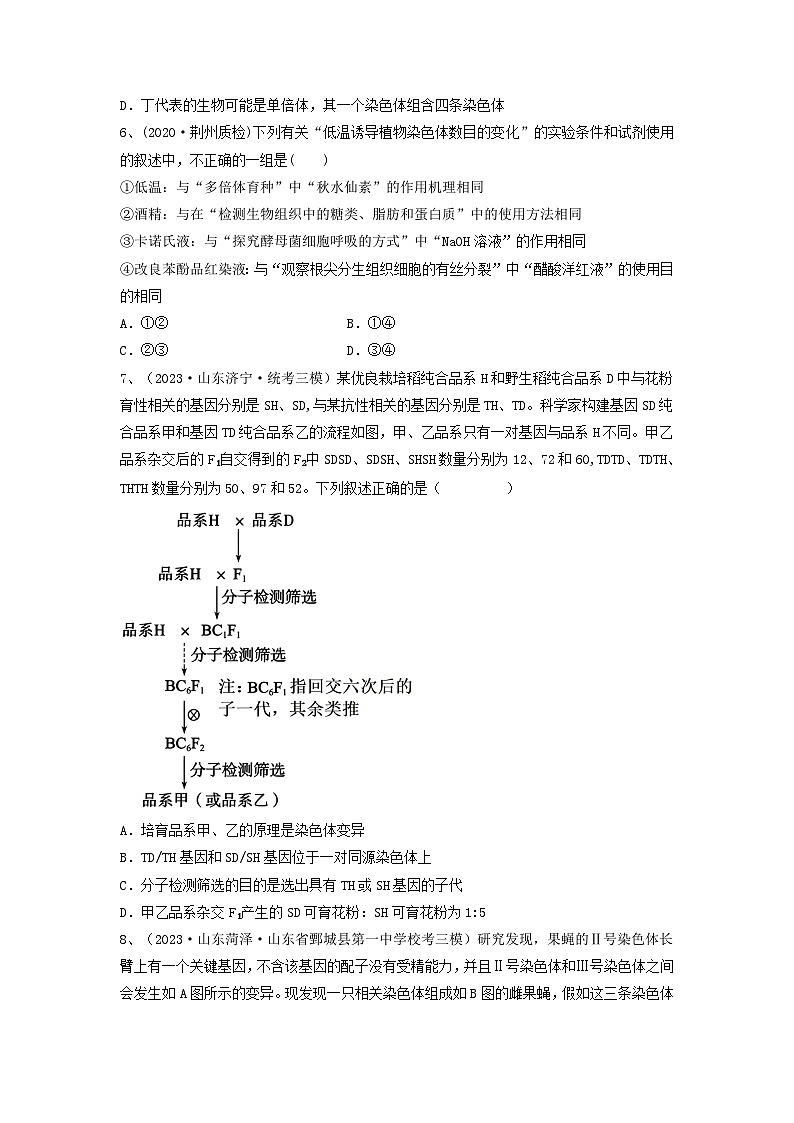 高考生物一轮复习串讲精练（新高考专用）专题21 染色体变异与育种（精练）（原卷版+解析）第2页