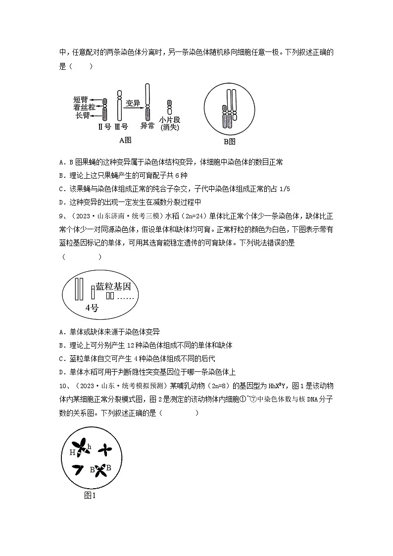 高考生物一轮复习串讲精练（新高考专用）专题21 染色体变异与育种（精练）（原卷版+解析）第3页