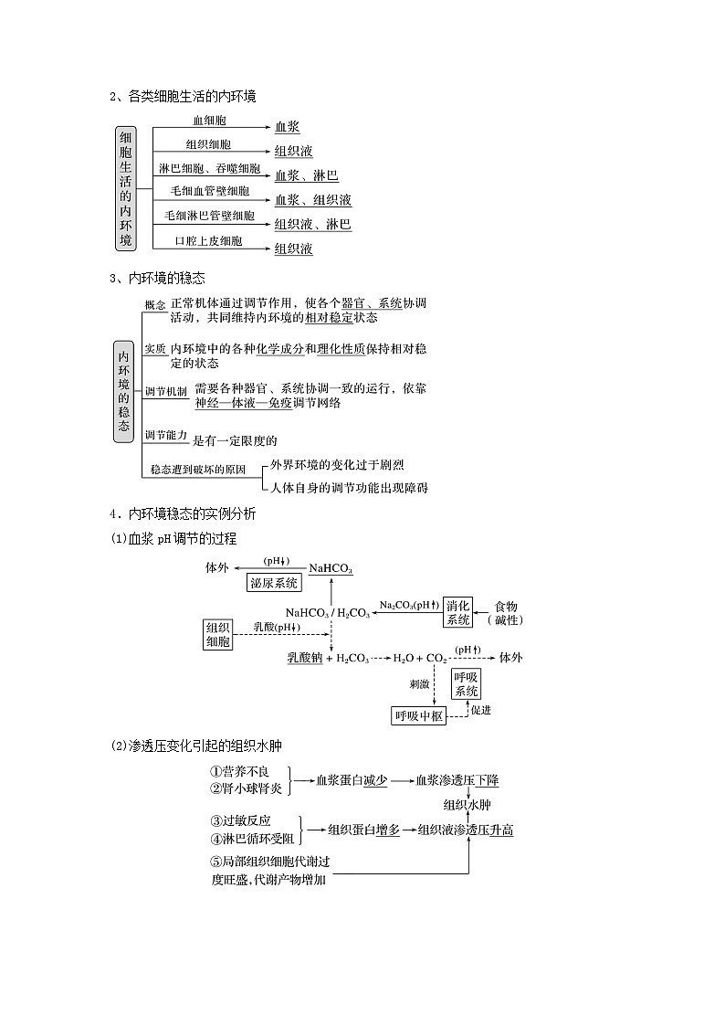 高考生物一轮复习串讲精练（新高考专用）专题23 人体的内环境与稳态（串讲）（原卷版+解析）第2页