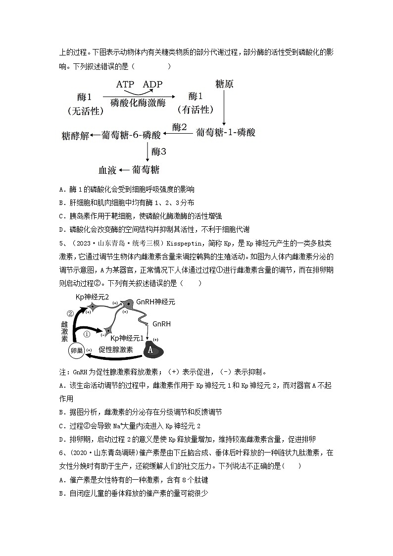 高考生物一轮复习串讲精练（新高考专用）专题25 体液调节（精练）（原卷版+解析）第2页