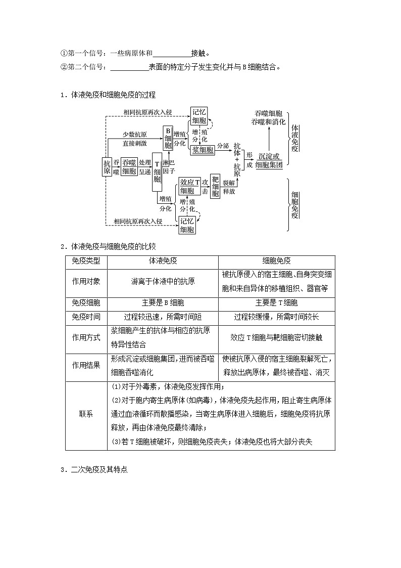高考生物一轮复习串讲精练（新高考专用）专题26 免疫调节（串讲）（原卷版+解析）03