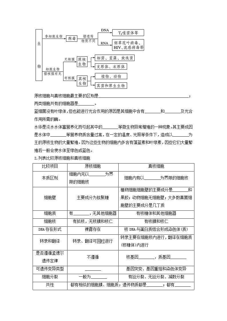 高考生物一轮复习串讲精练（新高考专用）专题01 走近细胞（串讲）（原卷版+解析）03