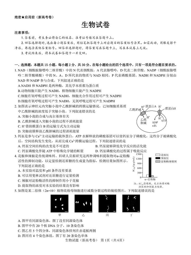 【新高考卷】名校教研联盟2024届高三下学期开学考试 生物试题及答案（含答题卡）01