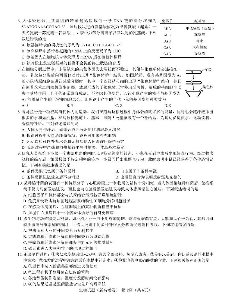 【新高考卷】名校教研联盟2024届高三下学期开学考试 生物试题及答案（含答题卡）02