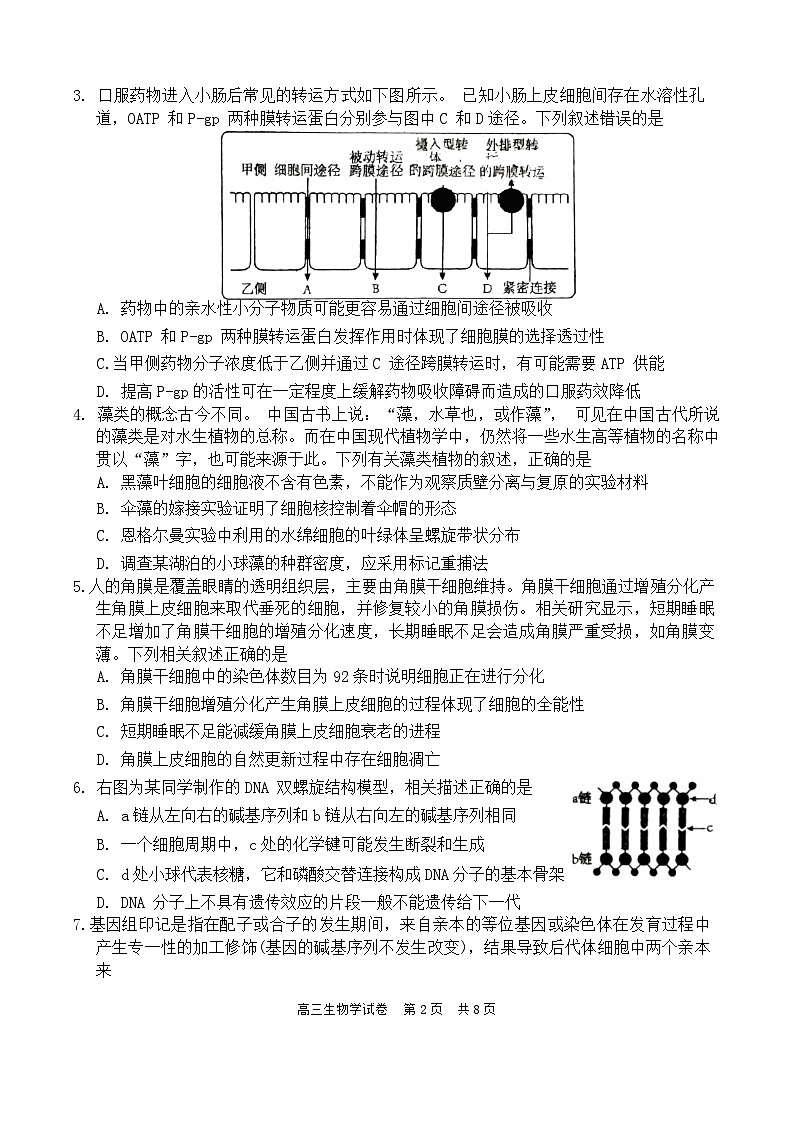 2024梅州高三下学期一模考试（2月）生物含答案第2页