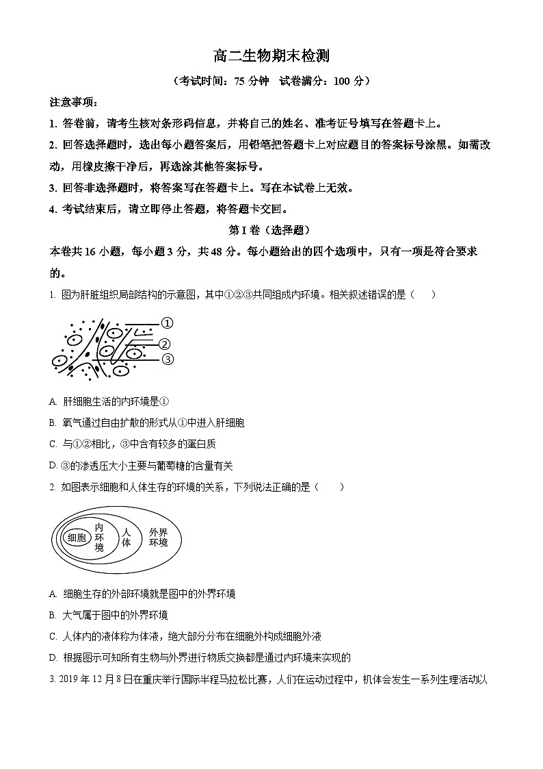 2024西安五校联考高二上学期1月期末考试生物含解析01