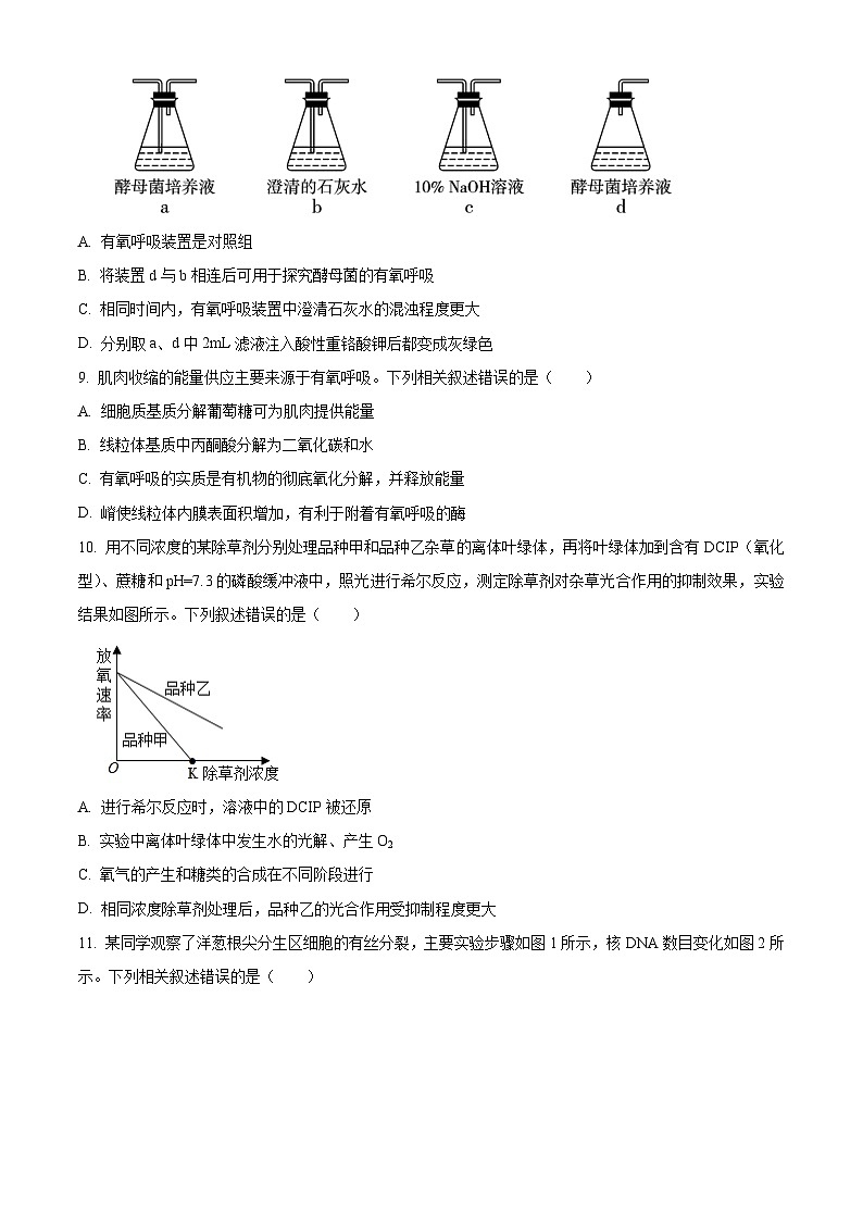 2024长治上党好教育联盟高一上学期1月期末考试生物含解析第3页