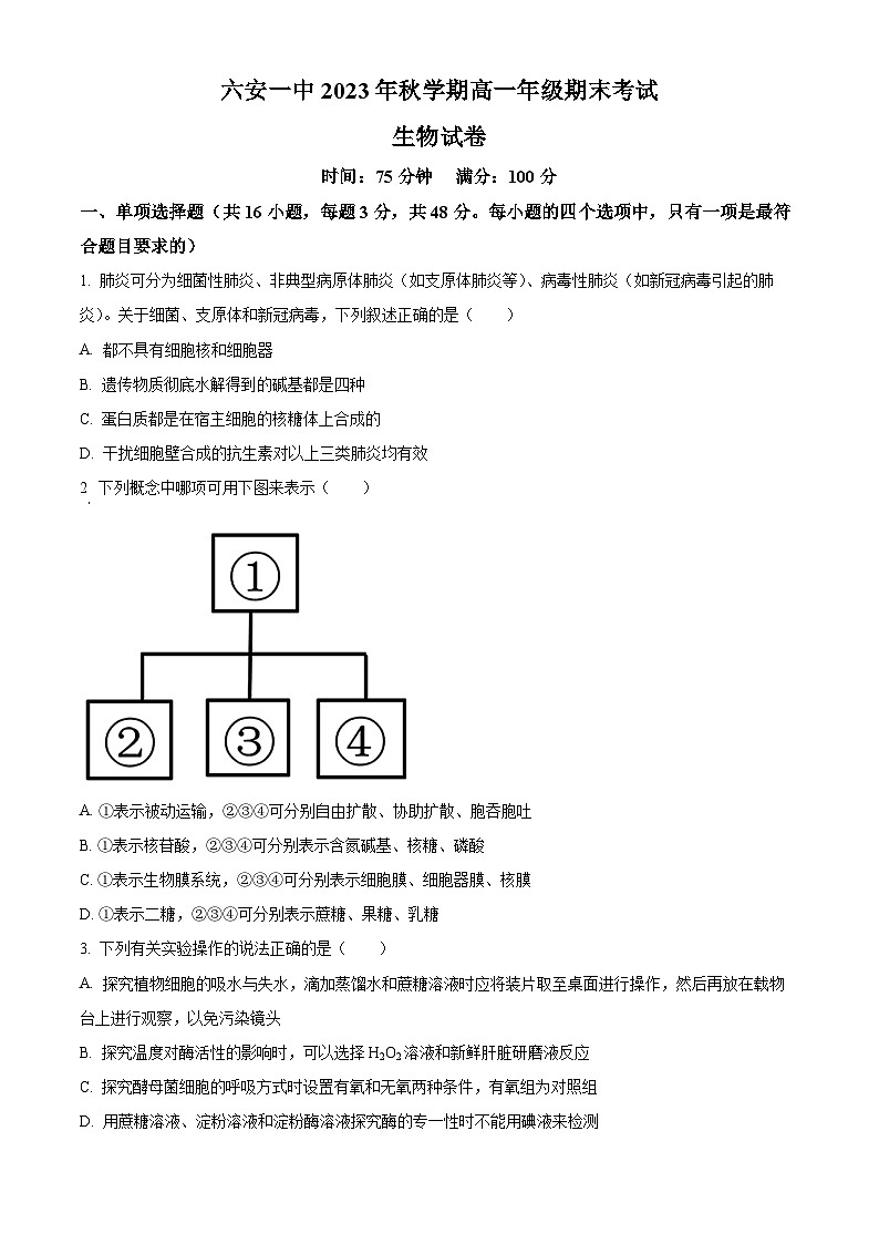 安徽省六安市一中2023-2024学年高一上学期期末生物试题无答案第1页