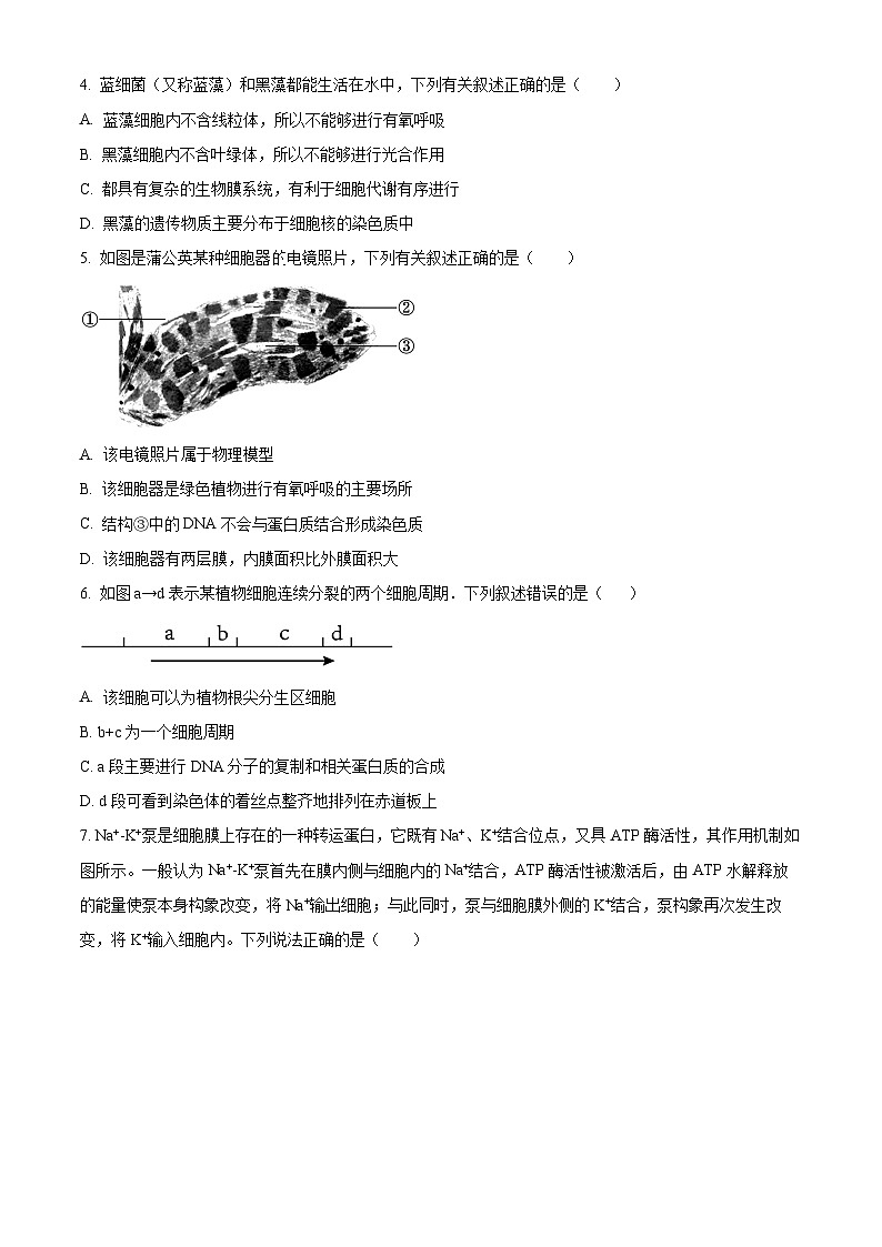 安徽省六安市一中2023-2024学年高一上学期期末生物试题无答案第2页