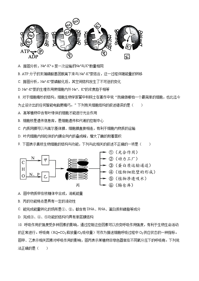 安徽省六安市一中2023-2024学年高一上学期期末生物试题无答案第3页