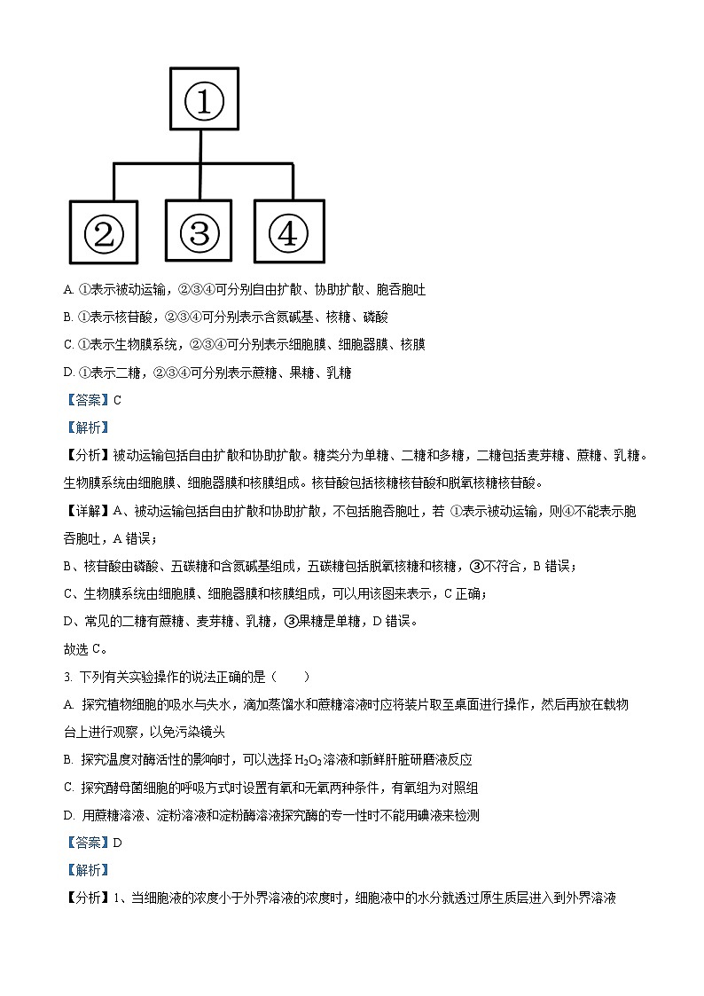 安徽省六安市一中2023-2024学年高一上学期期末生物试题含解析第2页