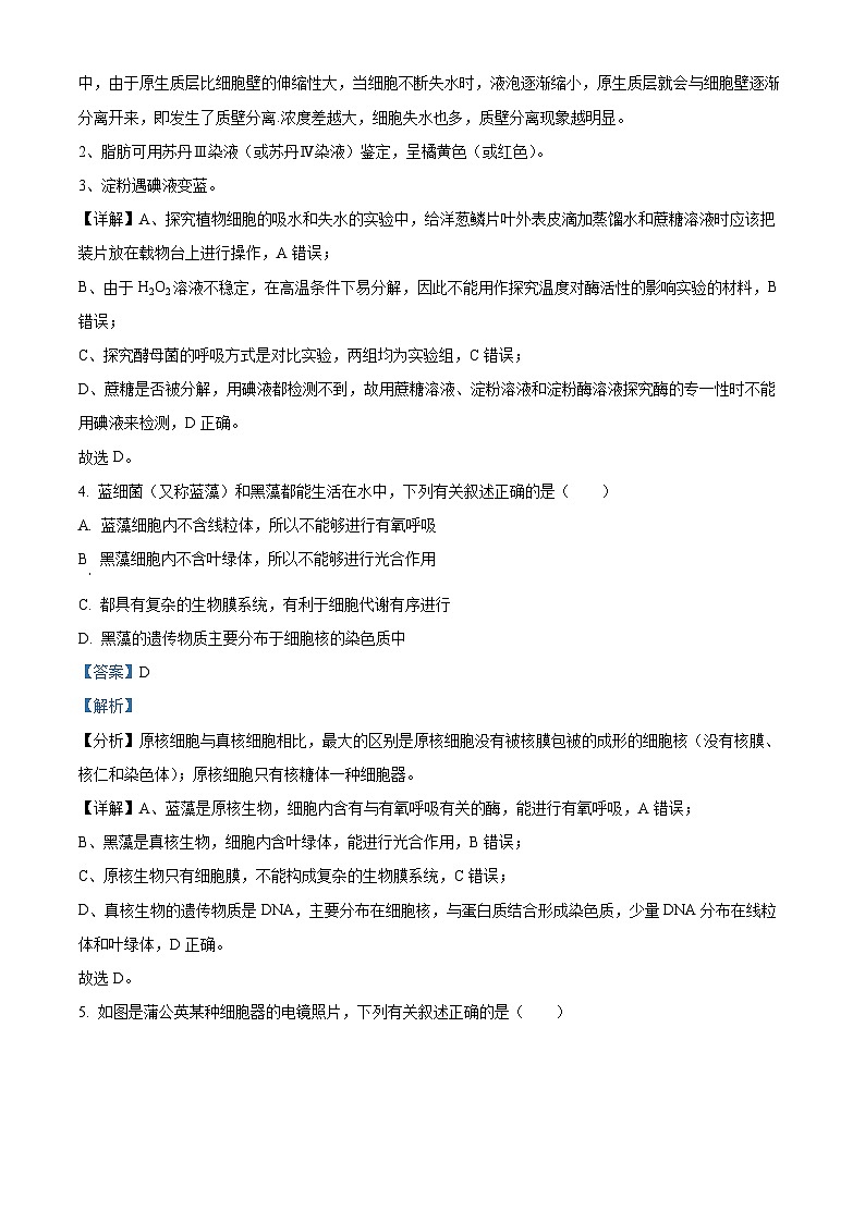 安徽省六安市一中2023-2024学年高一上学期期末生物试题含解析第3页