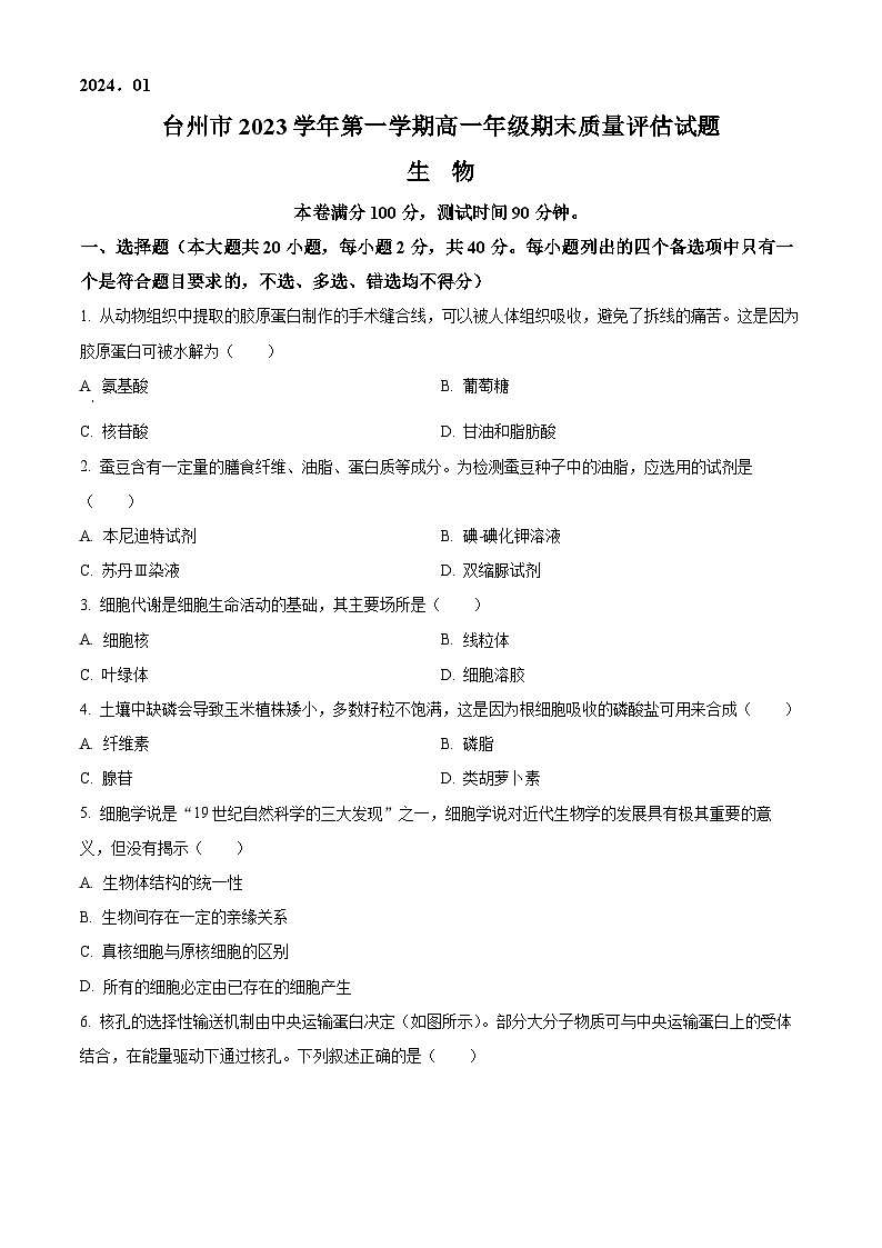 2024台州高一上学期期末考试生物含解析01