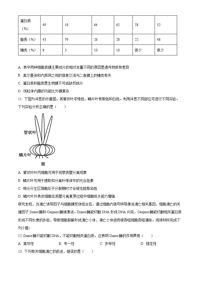 2024台州高一上学期期末考试生物含解析03