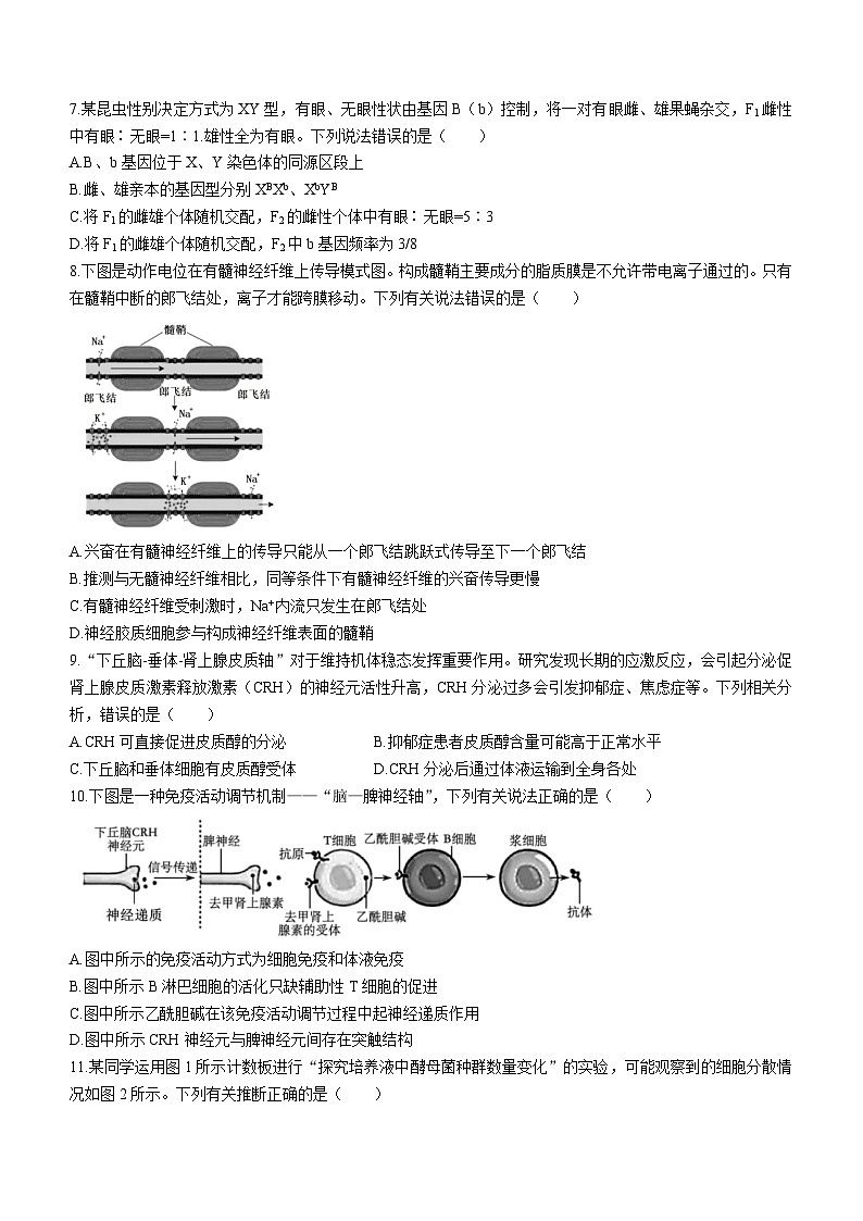 江苏省南京市江宁区等5地2023-2024学年高三下学期开学生物试题02