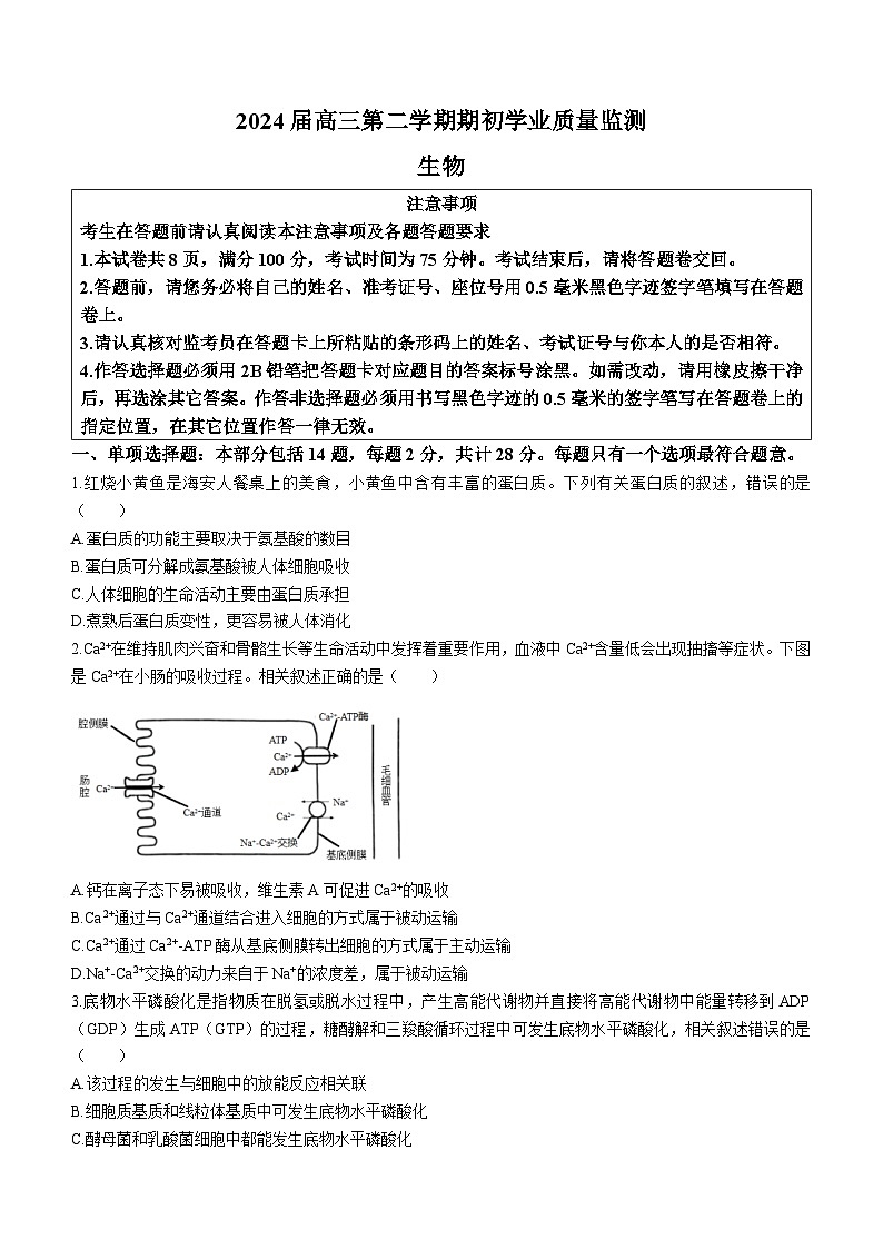 江苏省南通市海安市2023-2024学年高三下学期开学生物试题01