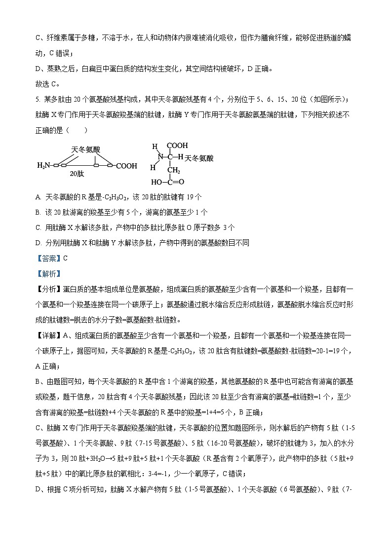 安徽省合肥市一中肥东分校2023-2024学年高一上学期期末生物试题 Word版含解析第3页