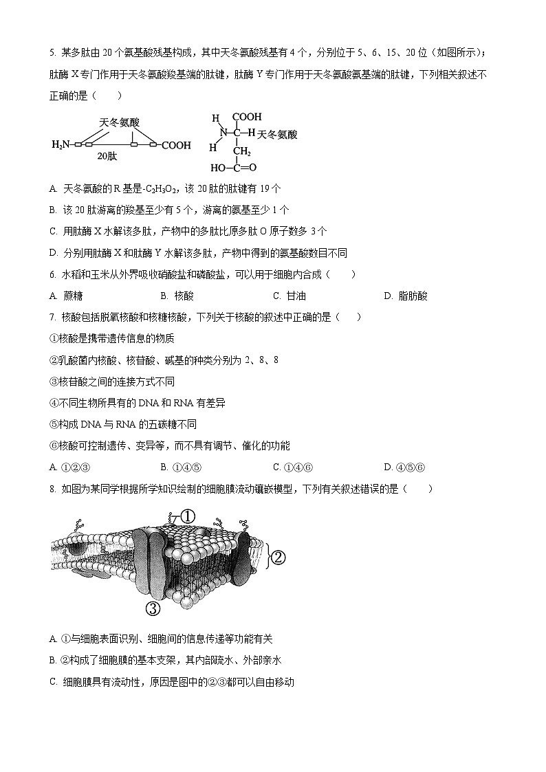 安徽省合肥市一中肥东分校2023-2024学年高一上学期期末生物试题（原卷版）第2页