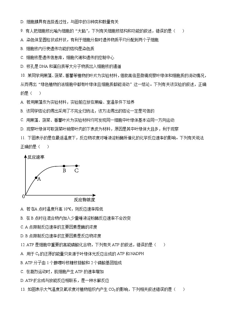 安徽省合肥市一中肥东分校2023-2024学年高一上学期期末生物试题（原卷版）第3页