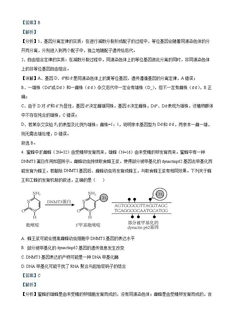 安徽省六校教育研究会2023-2024学年高三下学期2月联考生物试卷（Word版附解析）03