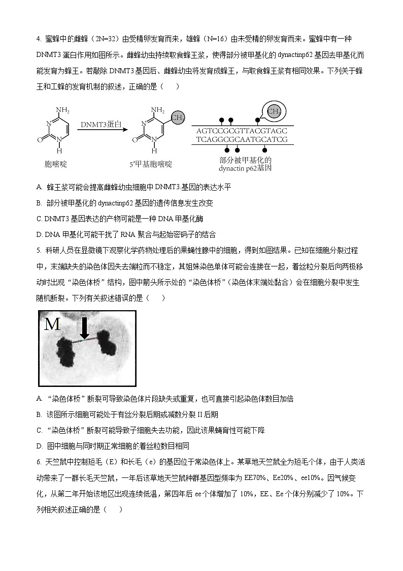 安徽省六校教育研究会2023-2024学年高三下学期2月联考生物试卷（Word版附解析）02