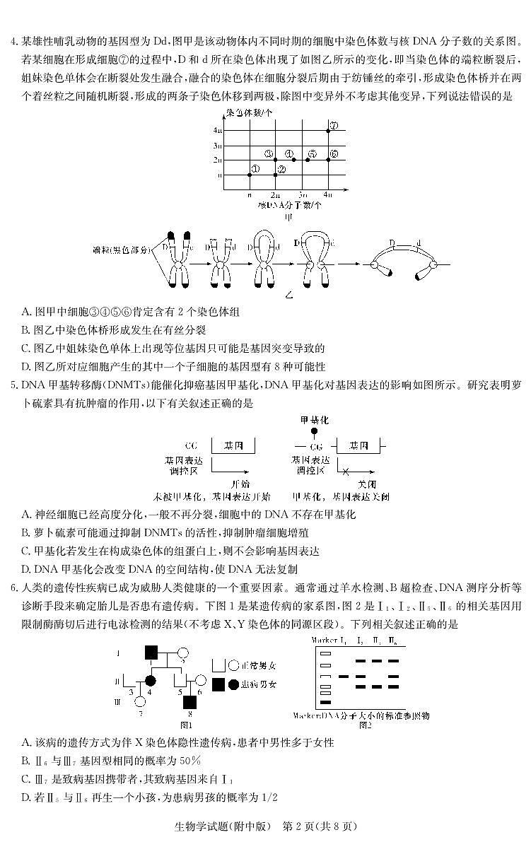 湖南师范大学附属中学2023-2024学年高三下学期第六次月考生物试卷（PDF版附答案）02